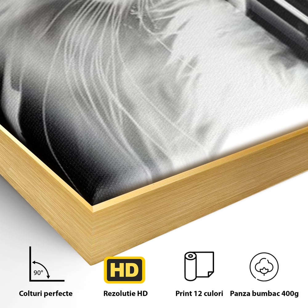 Detaliu al suprafetei: tablou canvas cu pisica alba si ochi albastri, in rama de aluminiu auriu