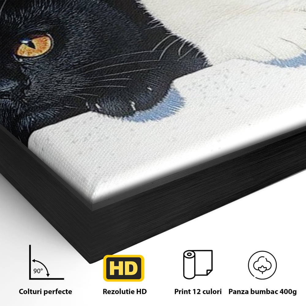 Detaliu al suprafetei: tablou canvas cu pisici alb si negru, in rama de aluminiu negru