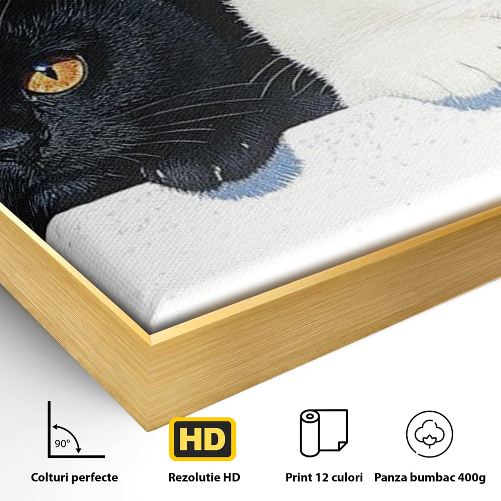 Detaliu al suprafetei: tablou canvas cu pisici alb si negru, in rama de aluminiu auriu
