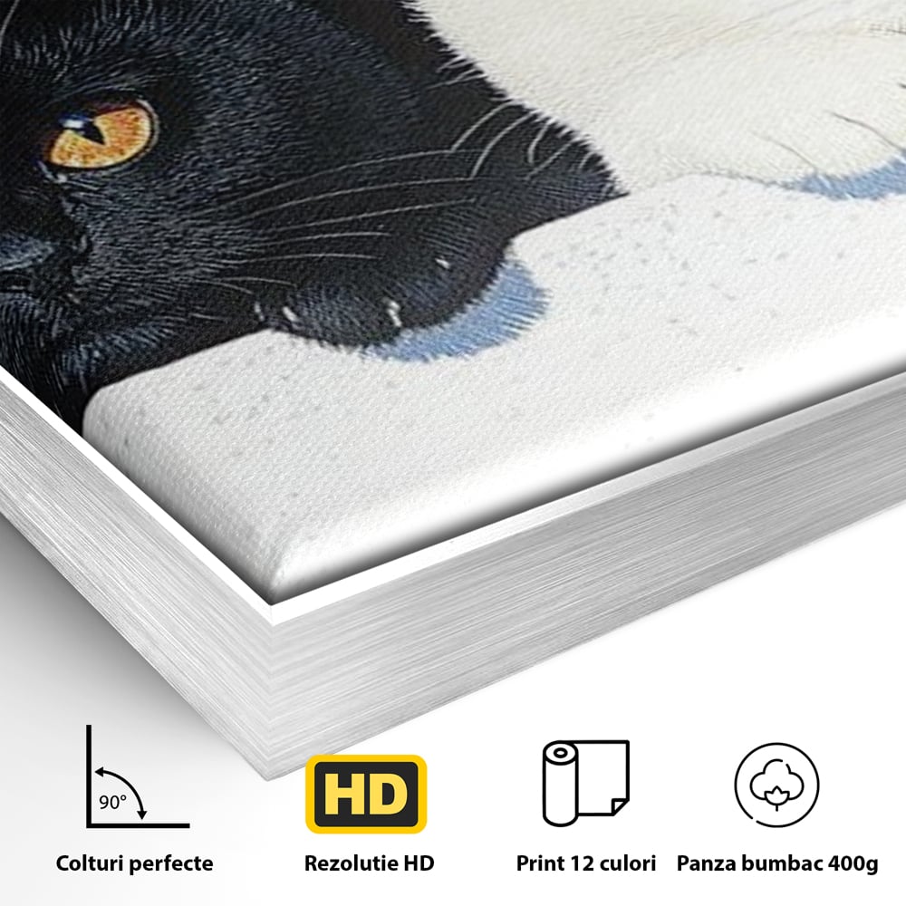 Detaliu al suprafetei: tablou canvas cu pisici alb si negru, in rama de aluminiu argintiu