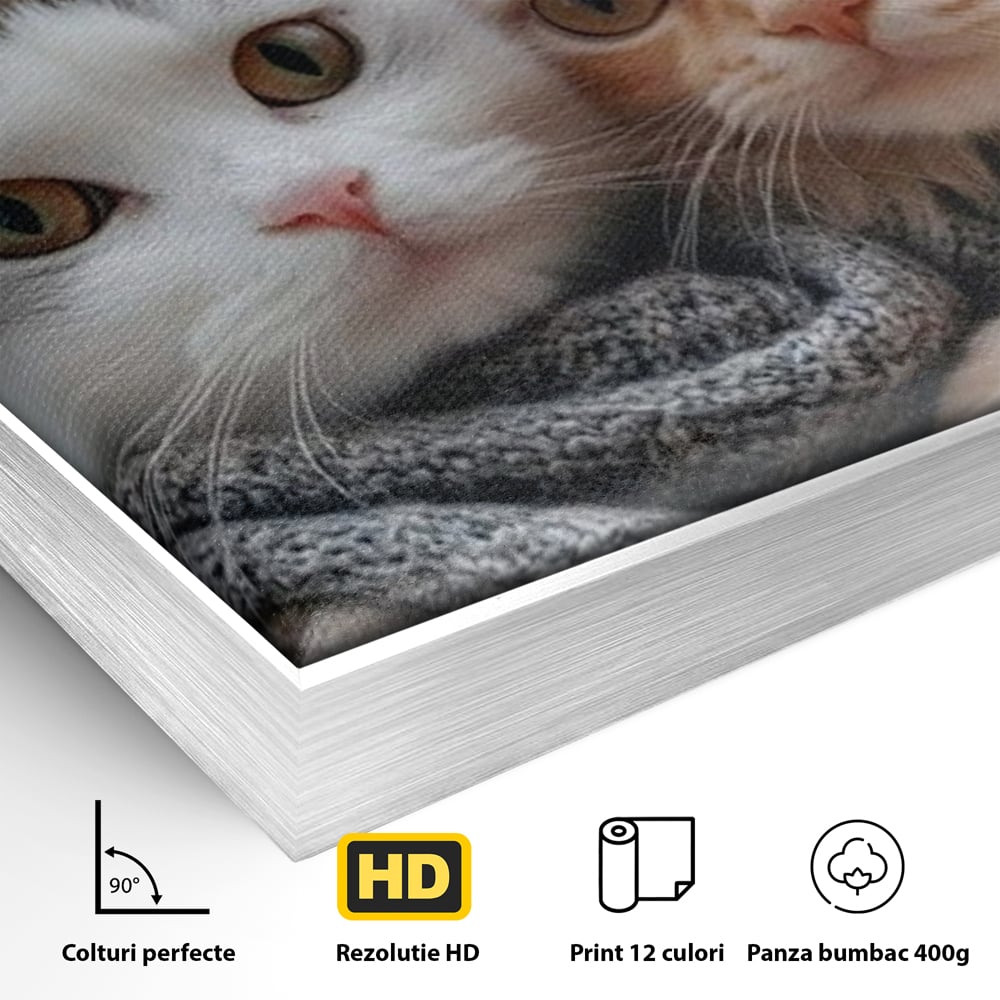 Detaliu al suprafetei: tablou canvas cu pisici in paris, in rama de aluminiu argintiu