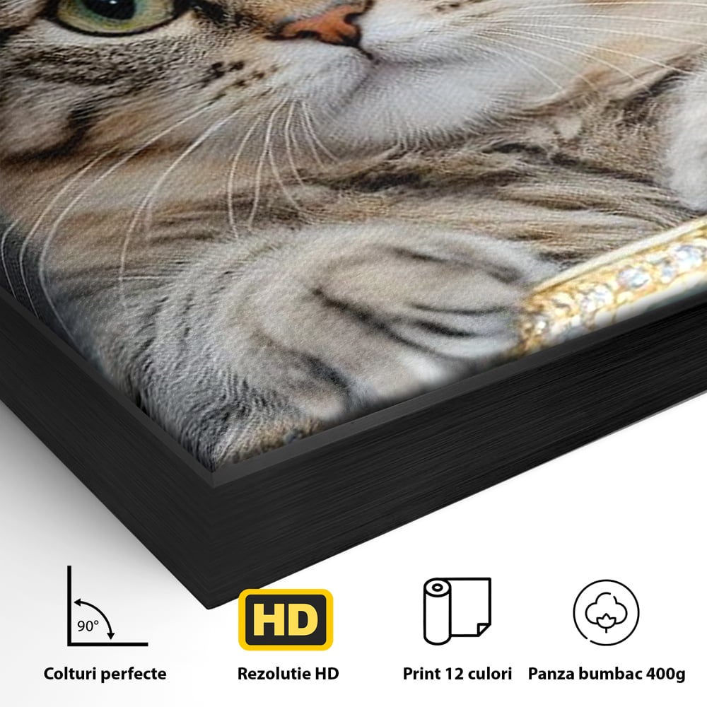 Detaliu al suprafetei: tablou canvas cu motan purtand coroana, in rama de aluminiu negru