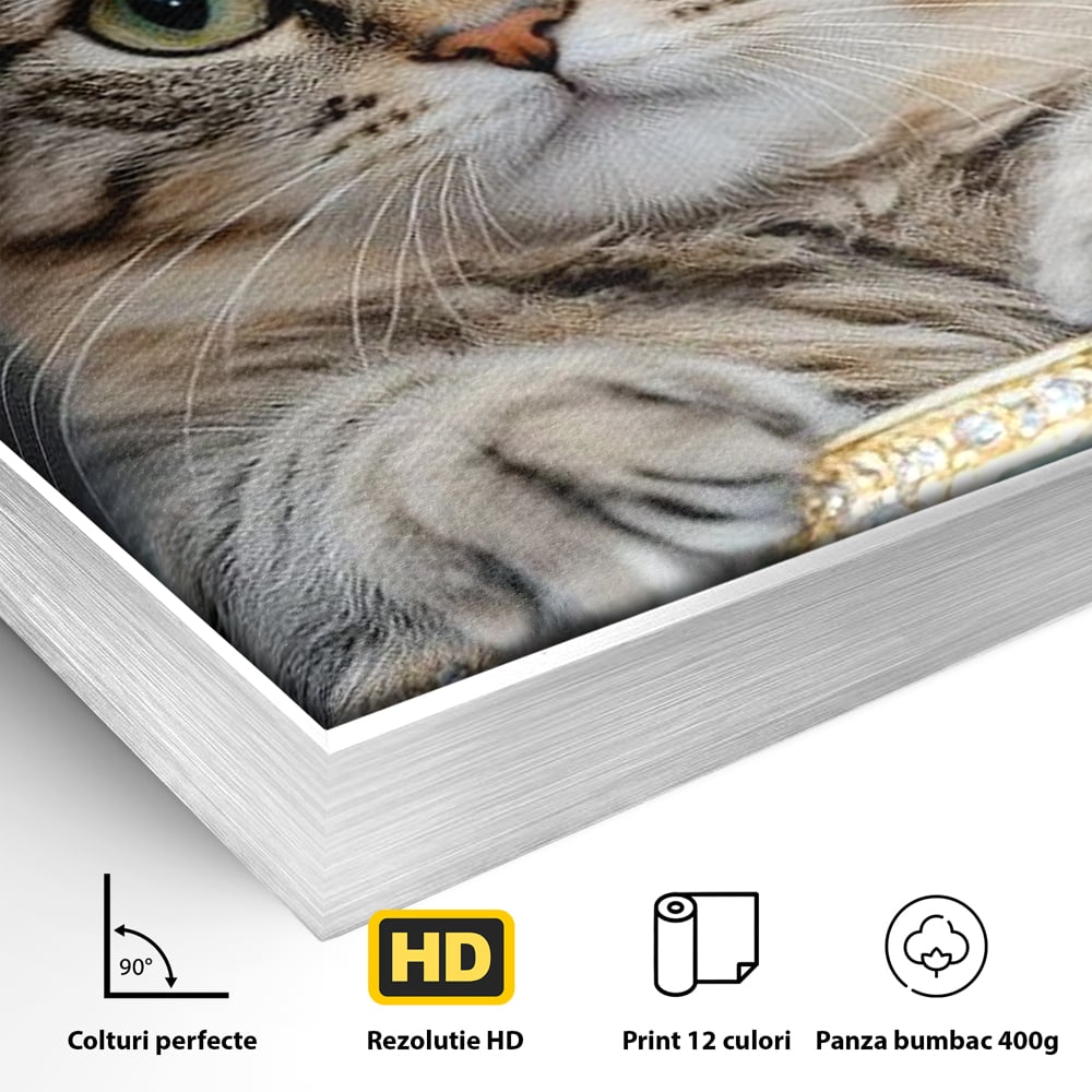 Detaliu al suprafetei: tablou canvas cu motan purtand coroana, in rama de aluminiu argintiu