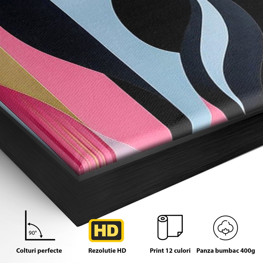 Detaliu al suprafetei: tablou vertical cu silueta de pisica, in rama de aluminiu negru