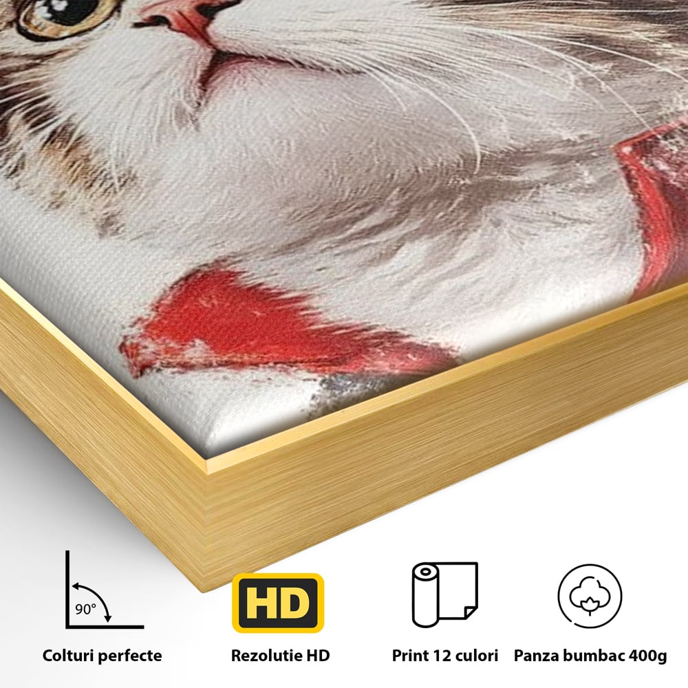 Detaliu al suprafetei: tablou canvas cu motan pirat, in rama de aluminiu auriu