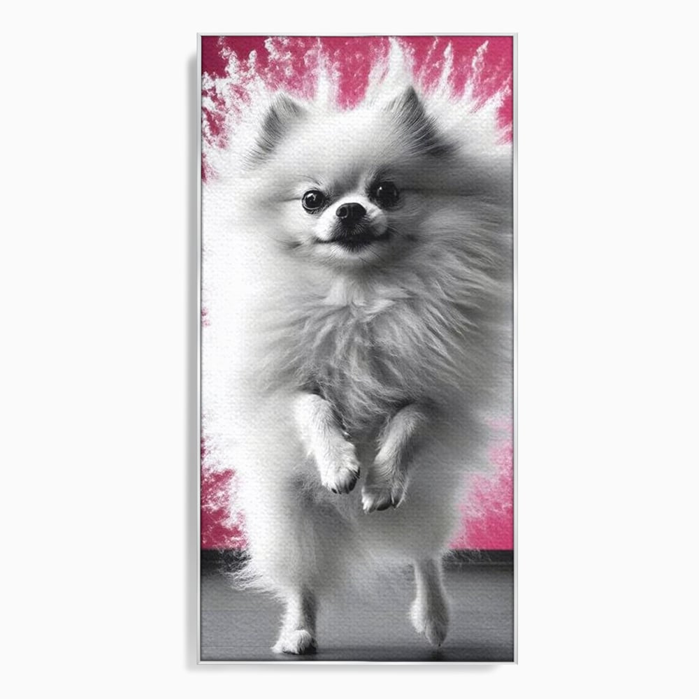 Tablou canvas cu tablou canvas cu caine pomeranian alb, in rama de aluminiu argintiu