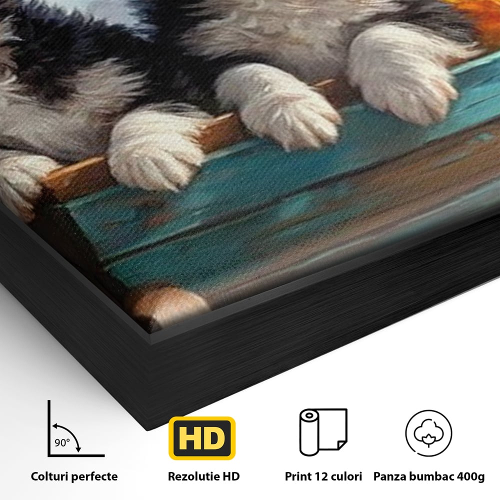 Detaliu al suprafetei: doi catei australian shepherd in caruta cu flori, in rama de aluminiu negru