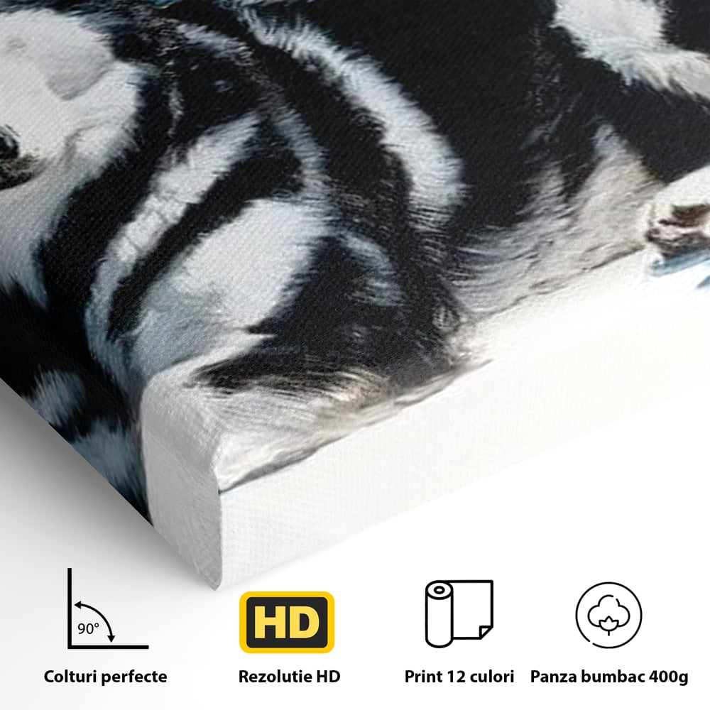 Detaliu al suprafetei: tablou canvas cu husky alb-negru, fara rama, pe sasiu de lemn