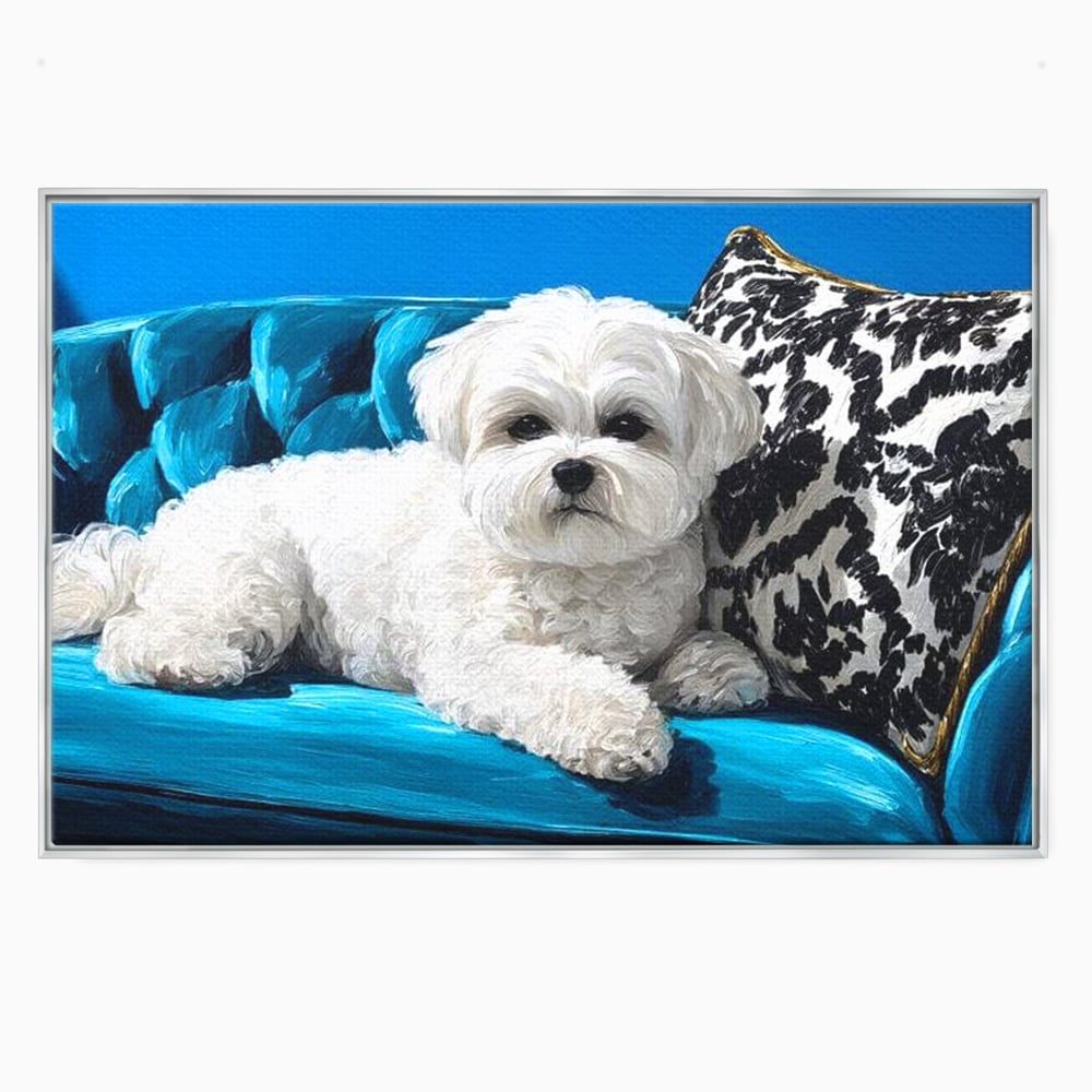 Tablou canvas cu pictura cu bichon alb pe canapea, in rama de aluminiu argintiu