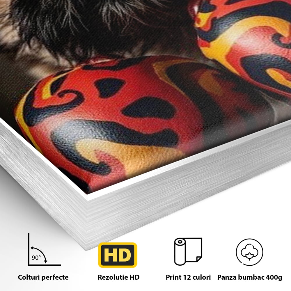 Detaliu al suprafetei: tablou canvas cu catel purtand manusi de box, in rama de aluminiu argintiu