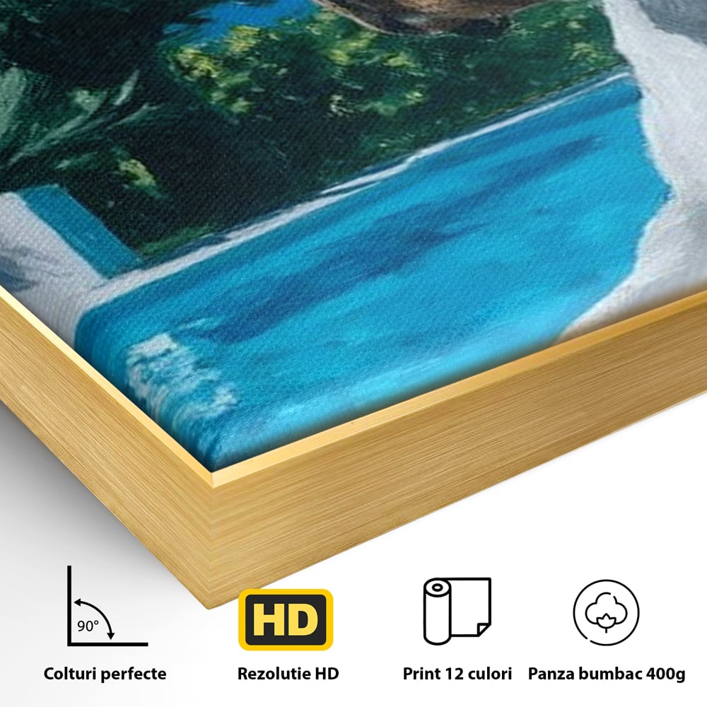Detaliu al suprafetei: tablou canvas cu caine la piscina, in rama de aluminiu auriu