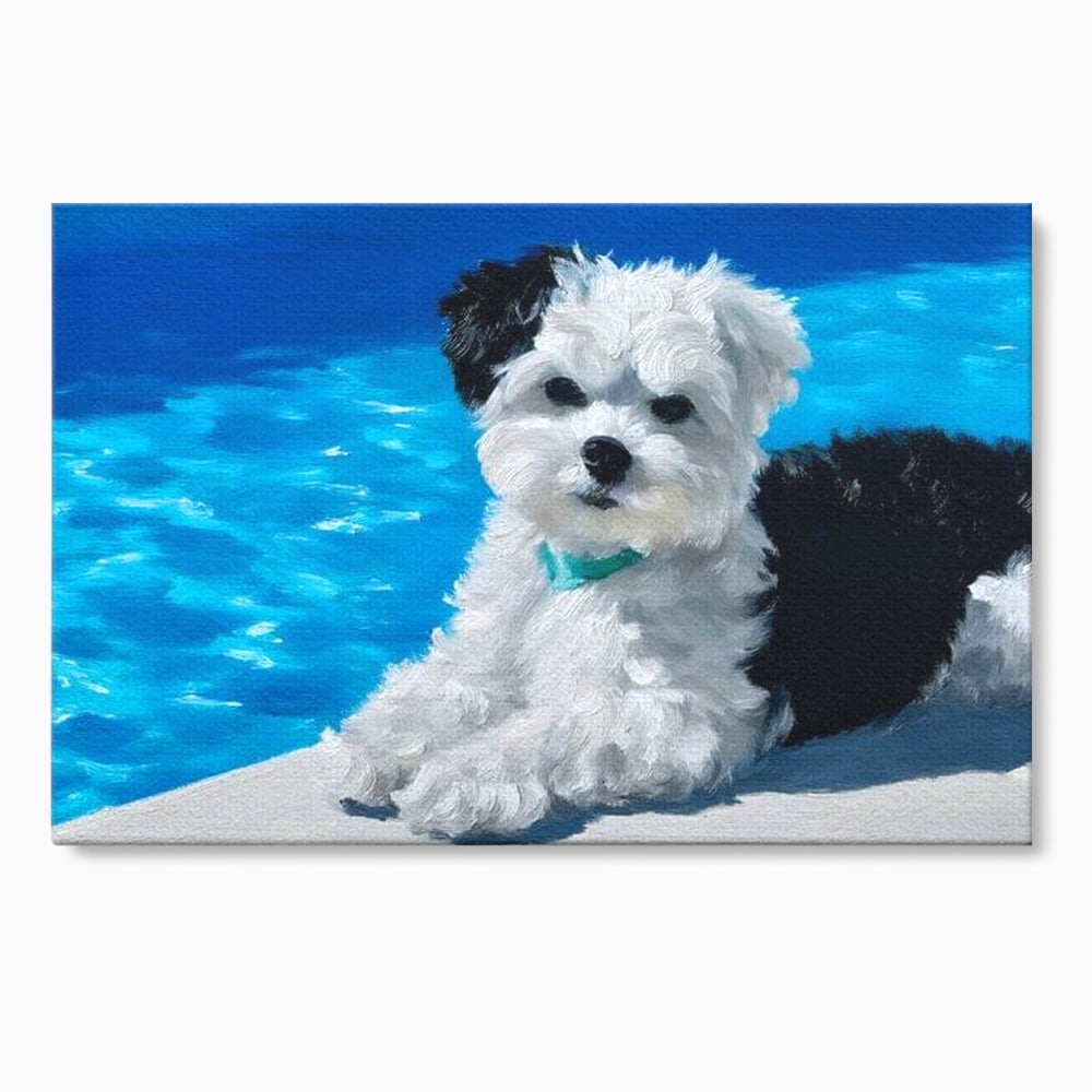 Tablou canvas cu pictura cu catel pufos langa piscina, fara rama, pe sasiu de lemn
