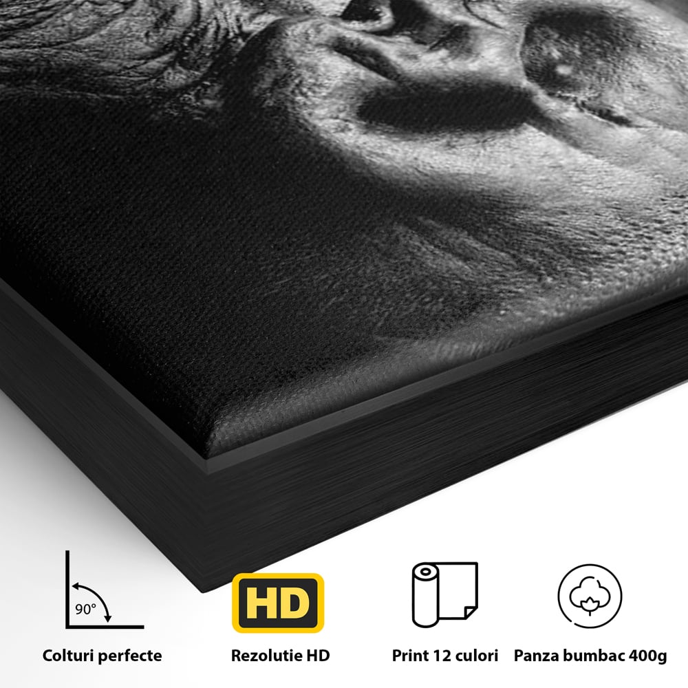 Detaliu al suprafetei: tablou canvas cu portret de gorila, in rama de aluminiu negru