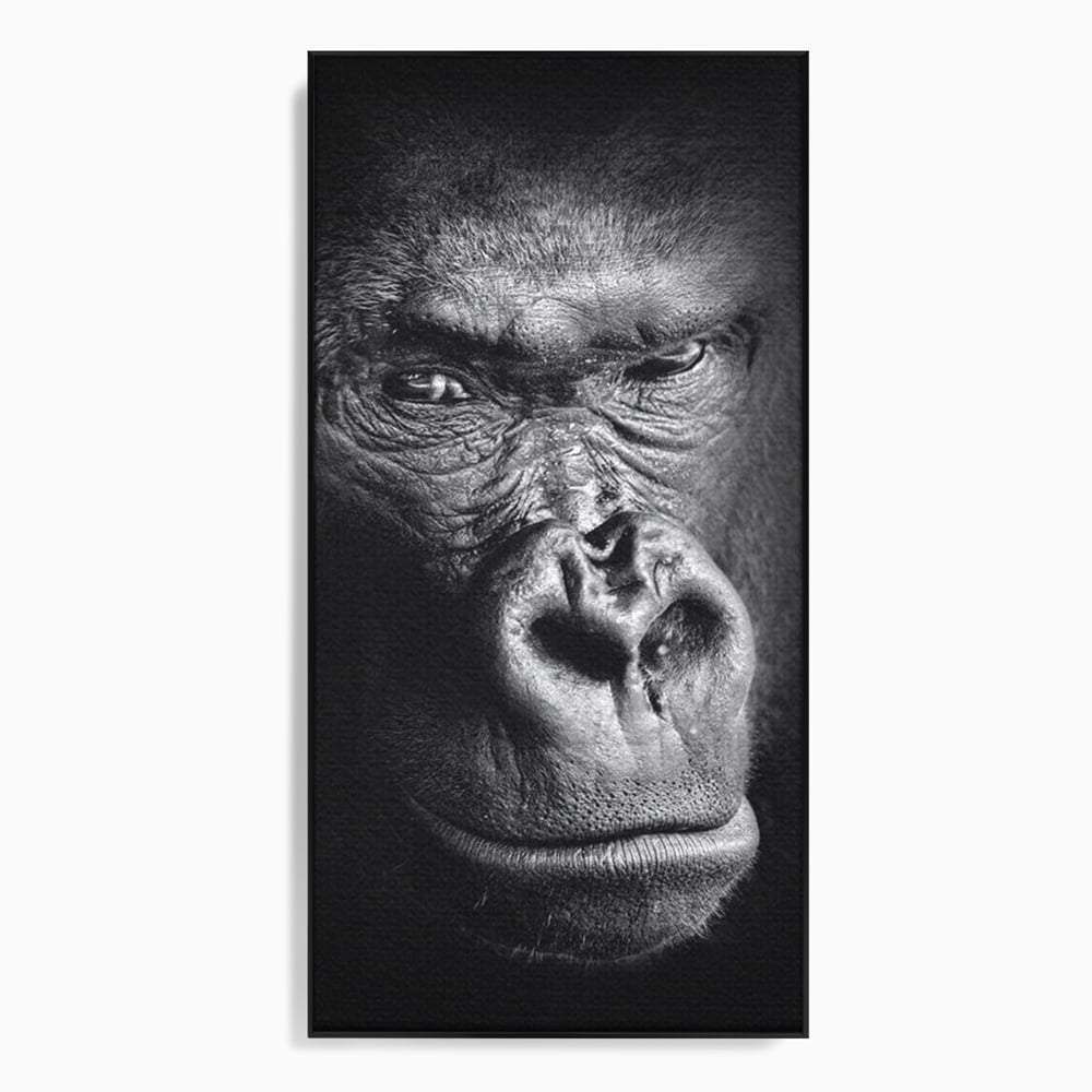 Tablou canvas cu tablou canvas cu portret de gorila, in rama de aluminiu negru