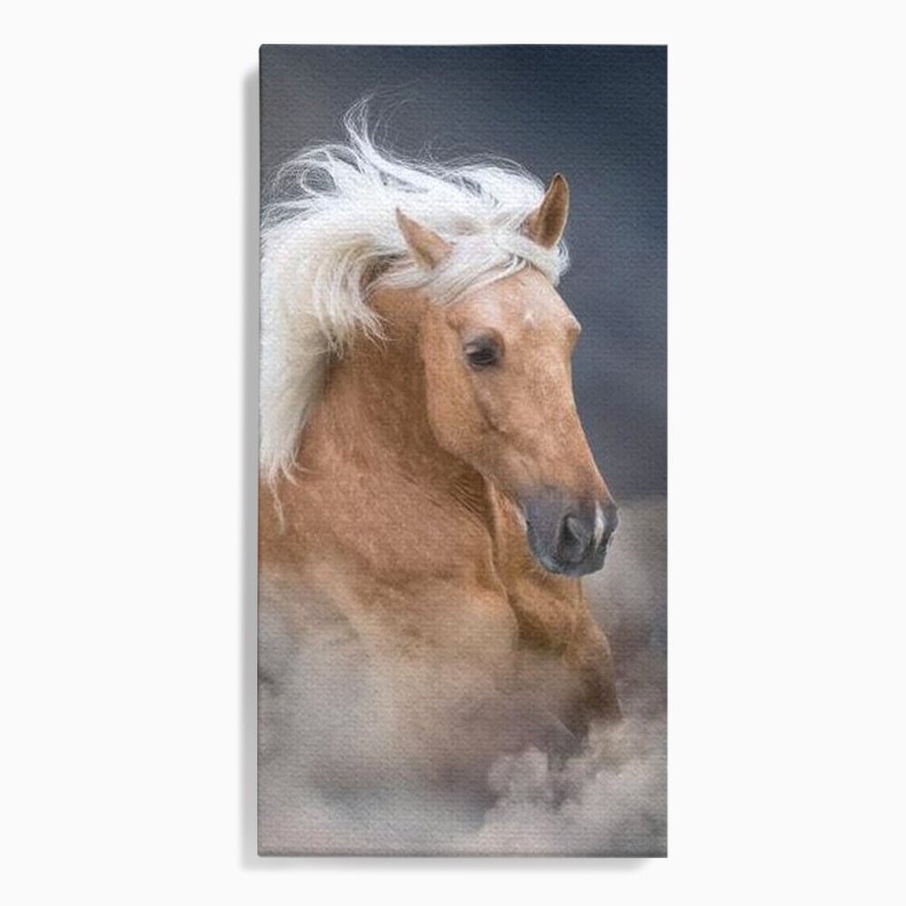 Tablou canvas cu tablou cu armasar in galop si coama alba, fara rama, pe sasiu de lemn