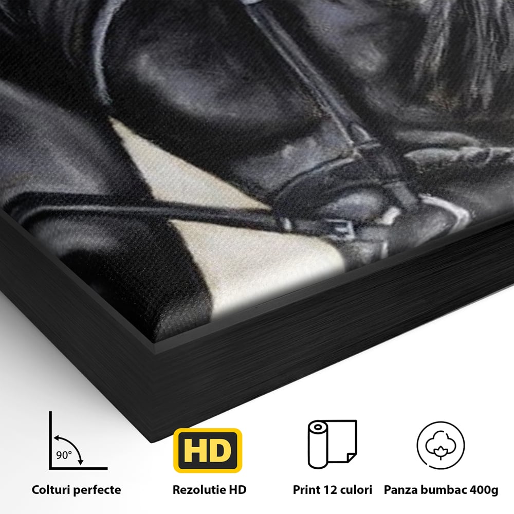 Detaliu al suprafetei: tablou canvas cu pictura de armasar negru in profil, in rama de aluminiu negru