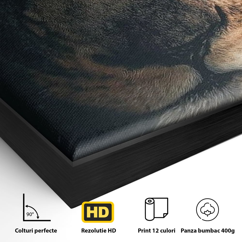 Detaliu al suprafetei: tablou canvas cu prim-plan portret de leu, in rama de aluminiu negru