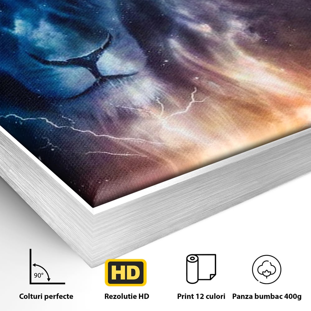 Detaliu al suprafetei: tablou canvas cu leu in univers, in rama de aluminiu argintiu