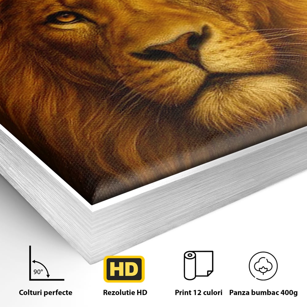 Detaliu al suprafetei: tablou canvas cu portret de leu, in rama de aluminiu argintiu