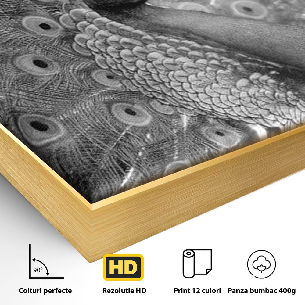 Detaliu al suprafetei: tablou canvas cu paun in alb si negru, in rama de aluminiu auriu