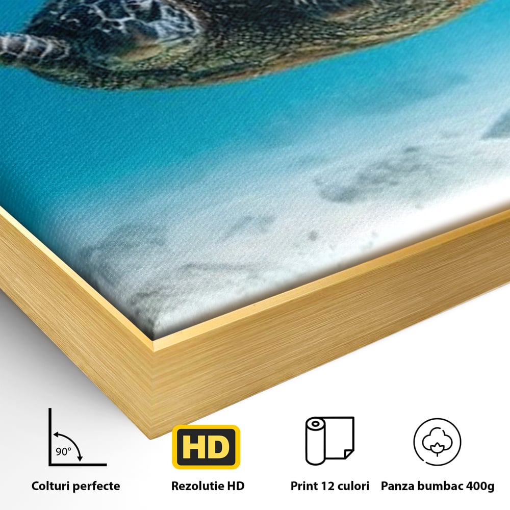 Detaliu al suprafetei: tablou canvas cu testoasa marina, in rama de aluminiu auriu
