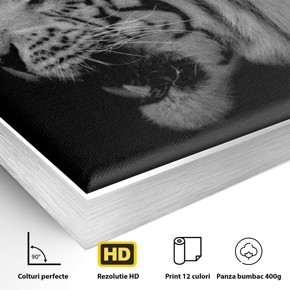 Detaliu al suprafetei: tablou canvas cu tigru alb-negru, in rama de aluminiu argintiu