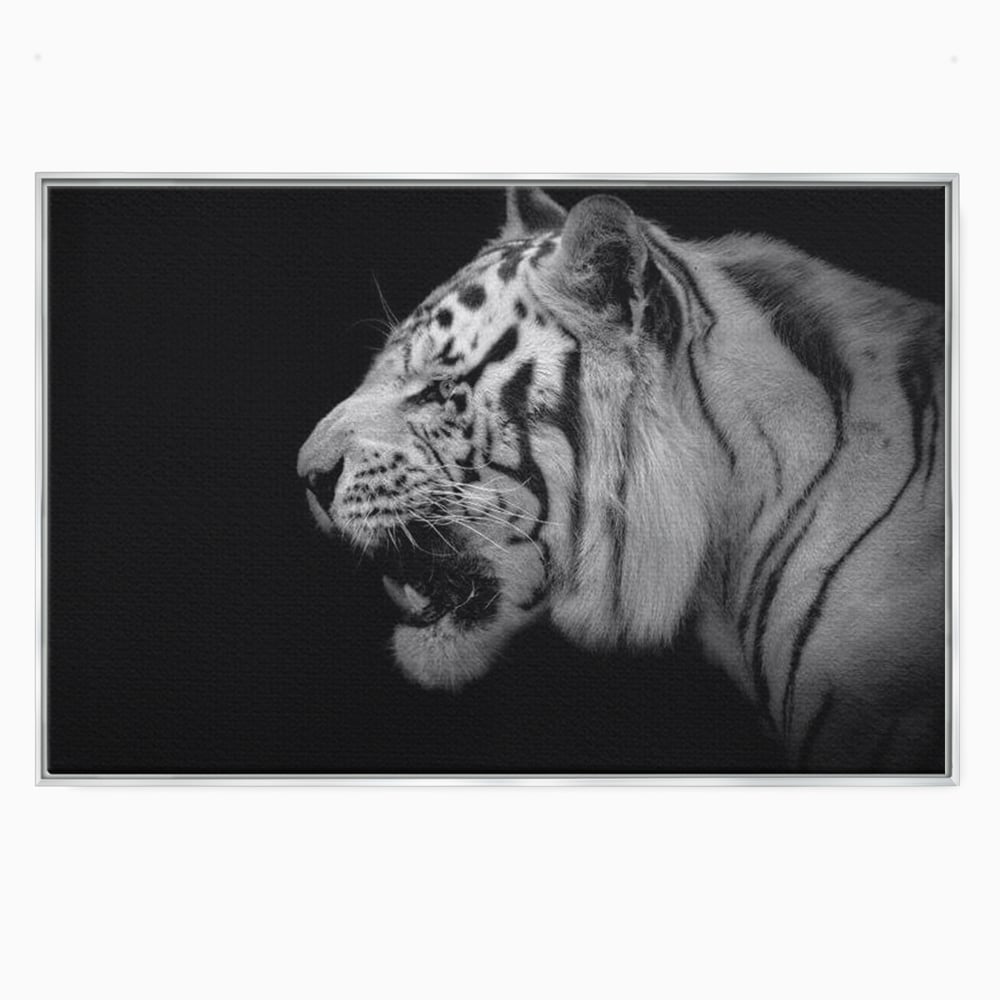 Tablou canvas cu tablou canvas cu tigru alb-negru, in rama de aluminiu argintiu