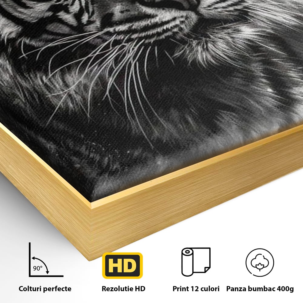 Detaliu al suprafetei: tablou canvas portret tigru alb negru, in rama de aluminiu auriu