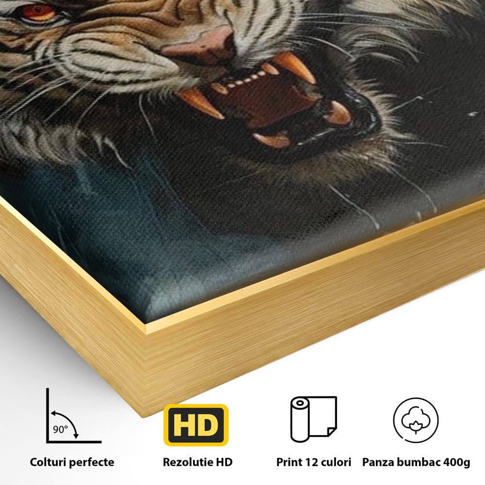 Detaliu al suprafetei: tablou canvas cu tigru furios, in rama de aluminiu auriu