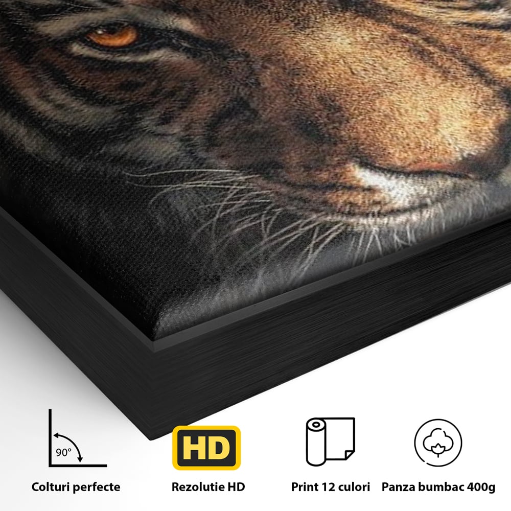 Detaliu al suprafetei: tablou canvas cu cap de tigru si scantei, in rama de aluminiu negru
