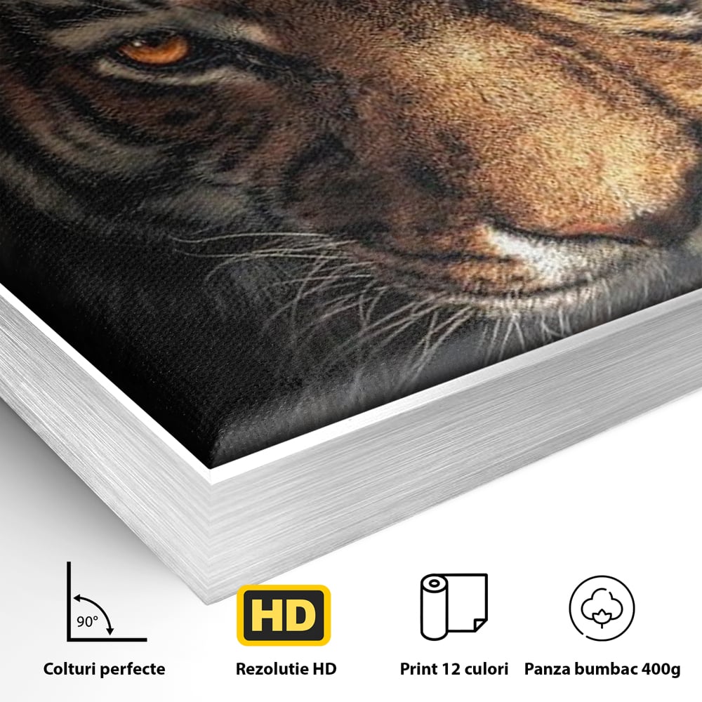 Detaliu al suprafetei: tablou canvas cu cap de tigru si scantei, in rama de aluminiu argintiu