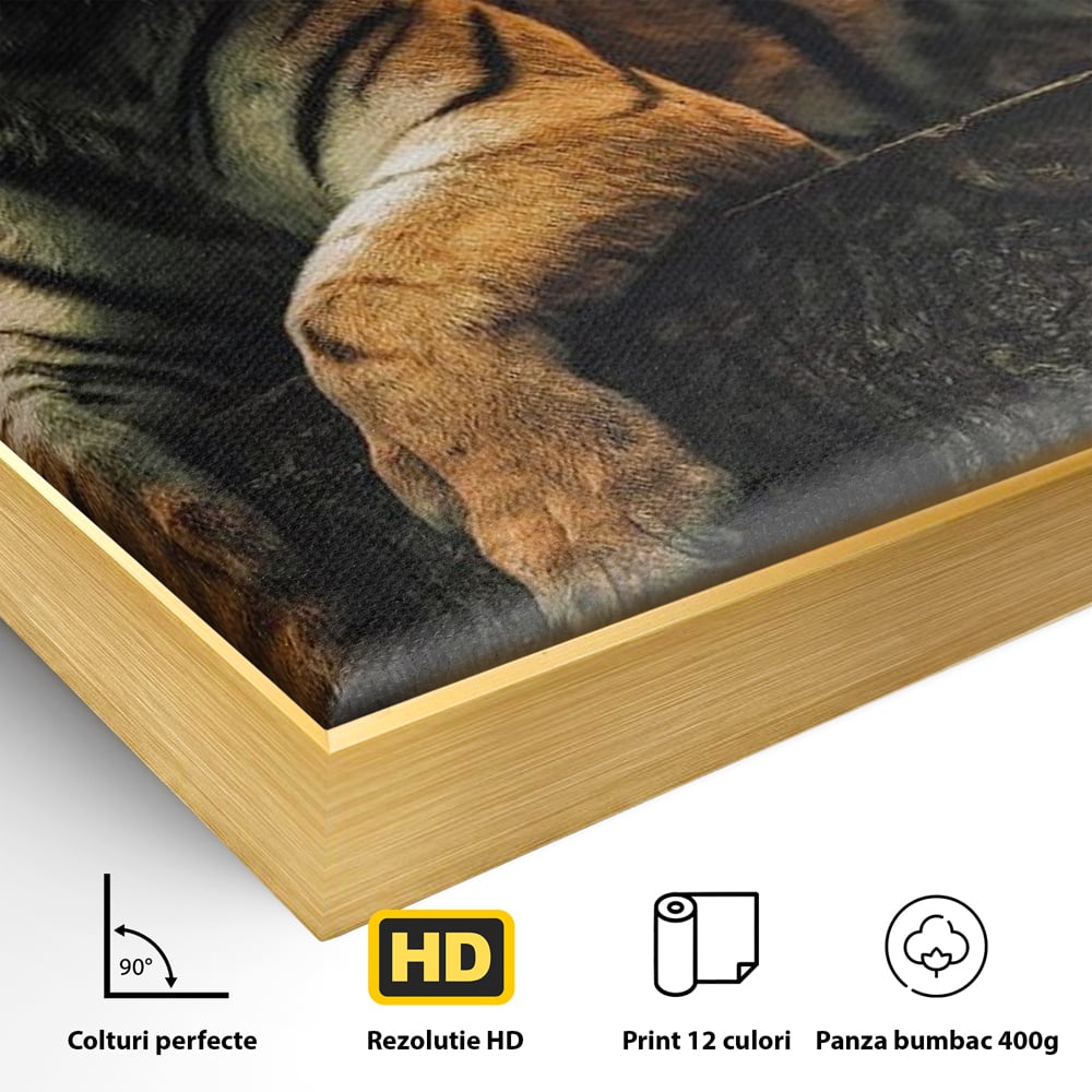 Detaliu al suprafetei: tablou canvas cu tigru si veverita, in rama de aluminiu auriu