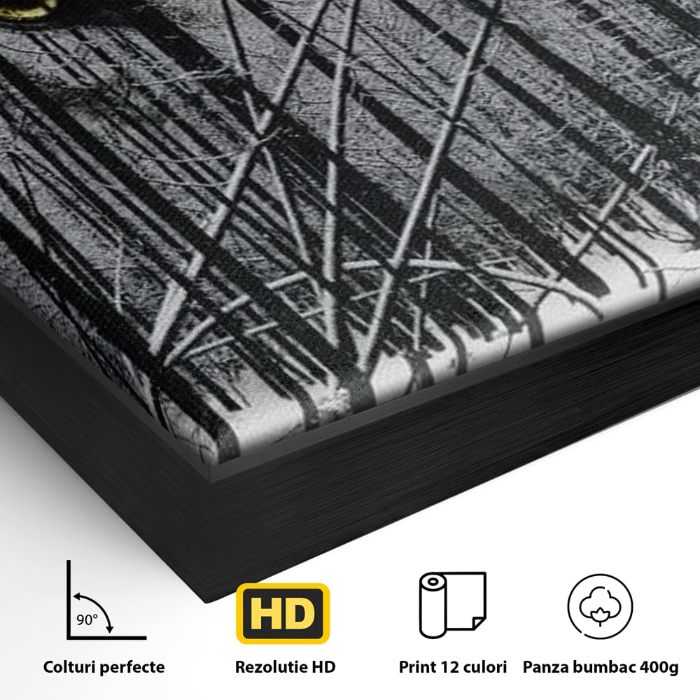 Detaliu al suprafetei: tablou canvas cu ochi de lup si padure iarna, in rama de aluminiu negru