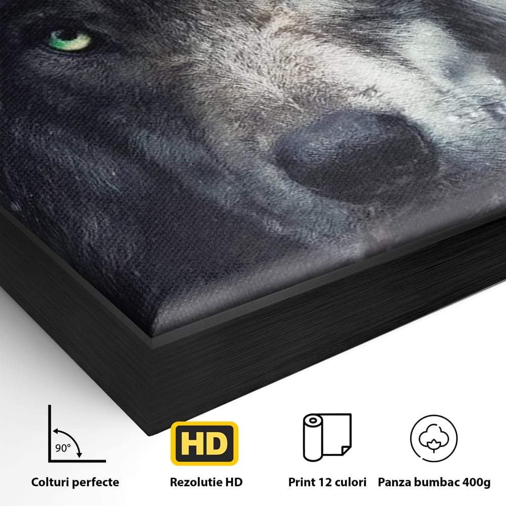 Detaliu al suprafetei: tablou canvas cu cap de lup, in rama de aluminiu negru