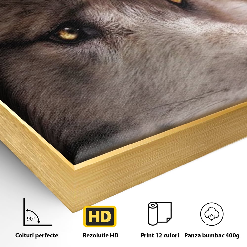 Detaliu al suprafetei: tablou canvas cu cap de lup, in rama de aluminiu auriu