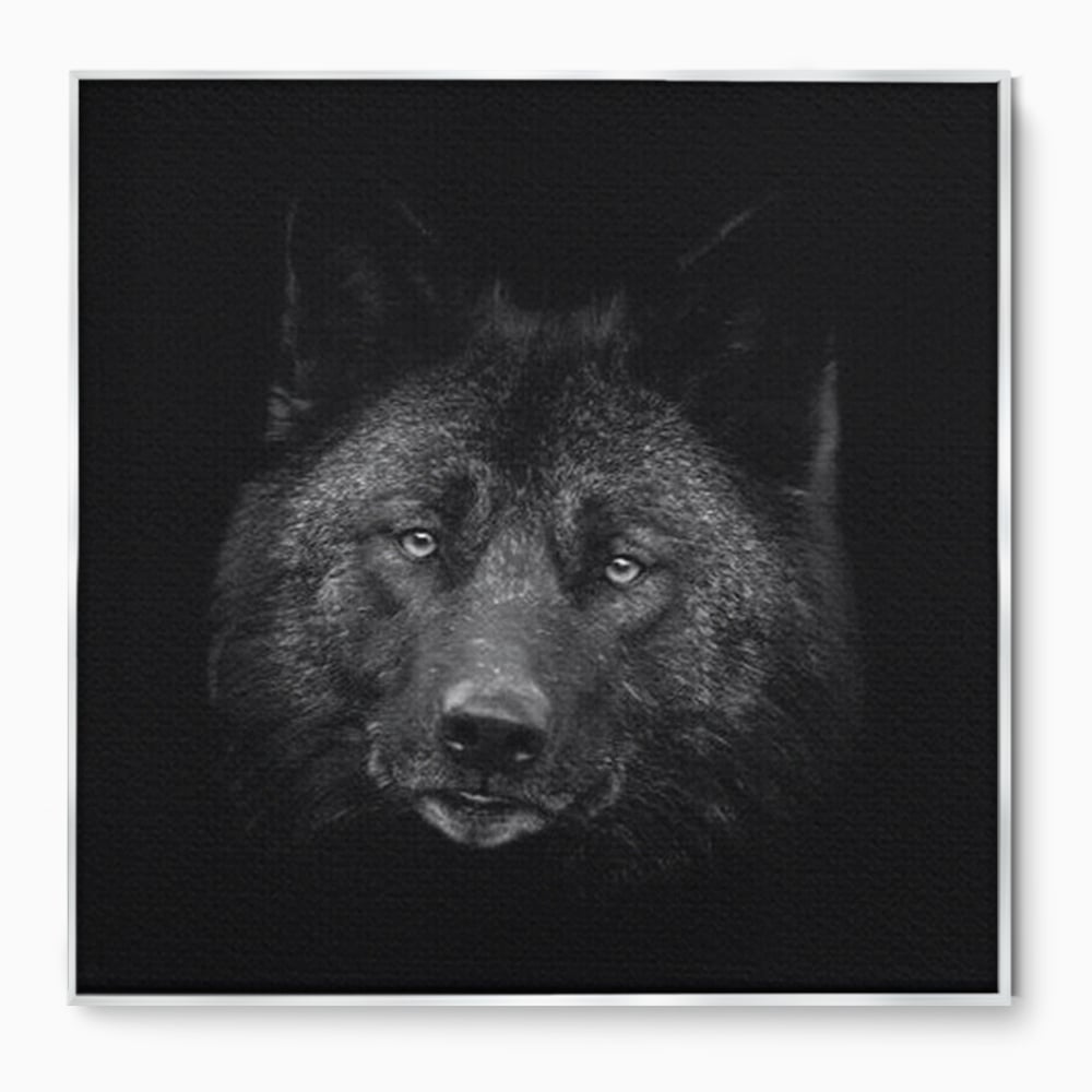 Tablou canvas cu tablou canvas cu portret de lup negru, in rama de aluminiu argintiu