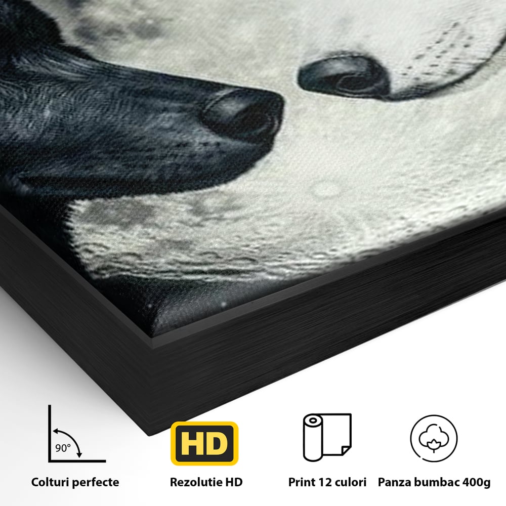 Detaliu al suprafetei: tablou canvas cu doi lupi si luna plina, in rama de aluminiu negru