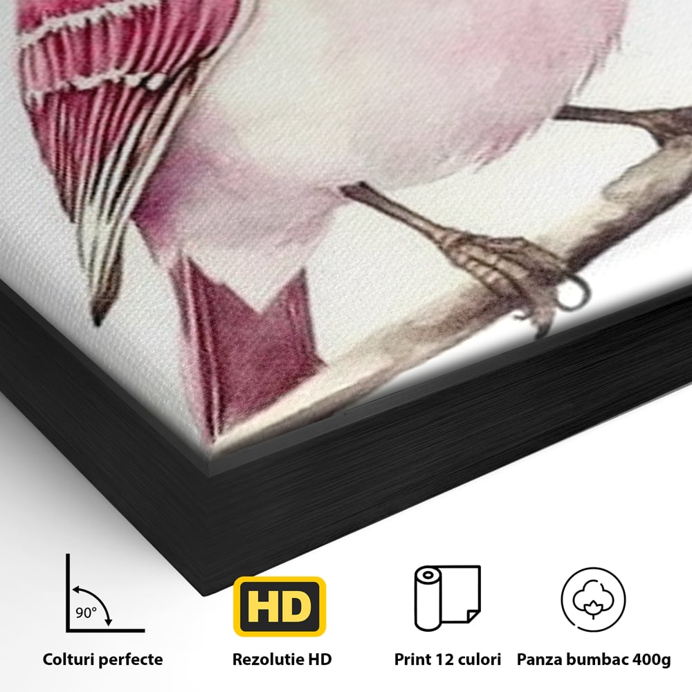 Detaliu al suprafetei: tablou canvas cu pasare roz pe creanga, in rama de aluminiu negru