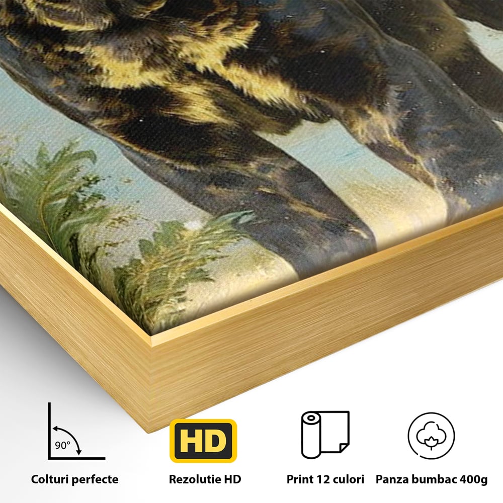 Detaliu al suprafetei: tablou canvas cu pantera neagra, in rama de aluminiu auriu
