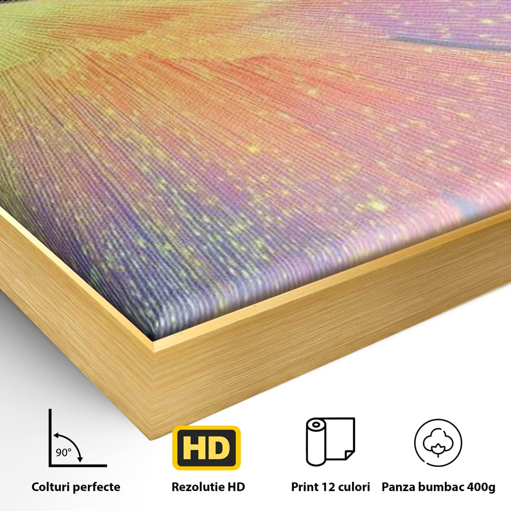 Detaliu al suprafetei: tablou canvas cu pasare colorata in zbor, in rama de aluminiu auriu