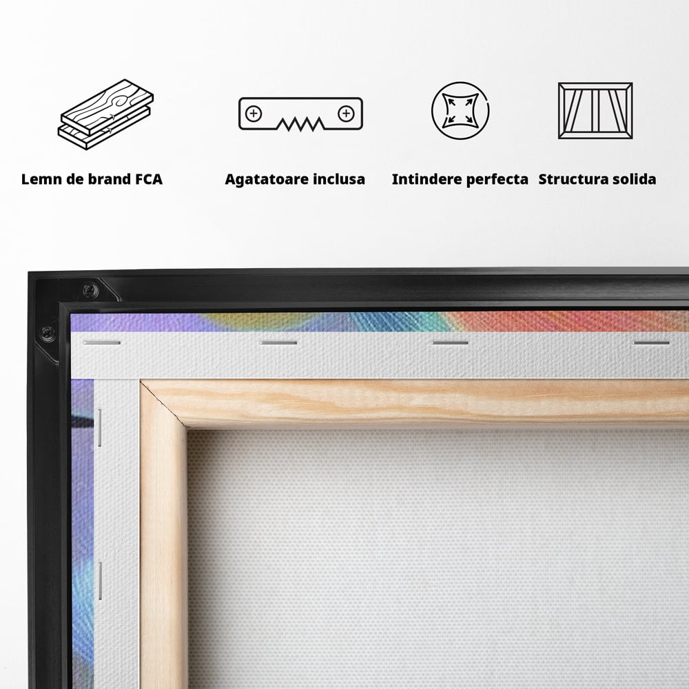 Spatele produsului, cu sasiu din lemn, capse metalice si agatatoare
