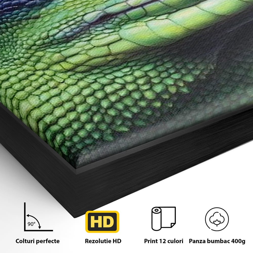 Tablou Canvas cu Soparla Verde si Albastra, Verde si Albastru, M1520