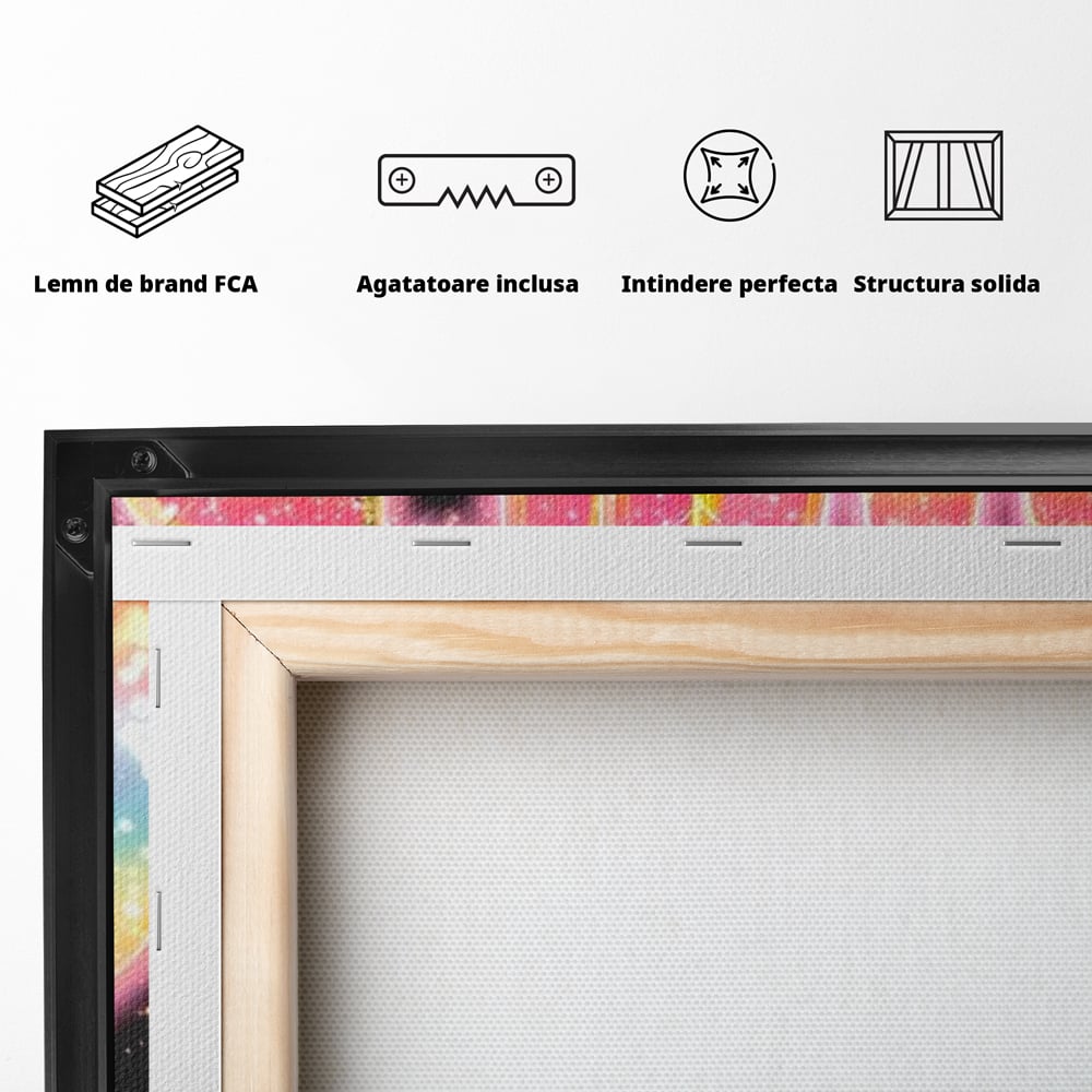 Spatele produsului, cu sasiu din lemn, capse metalice si agatatoare
