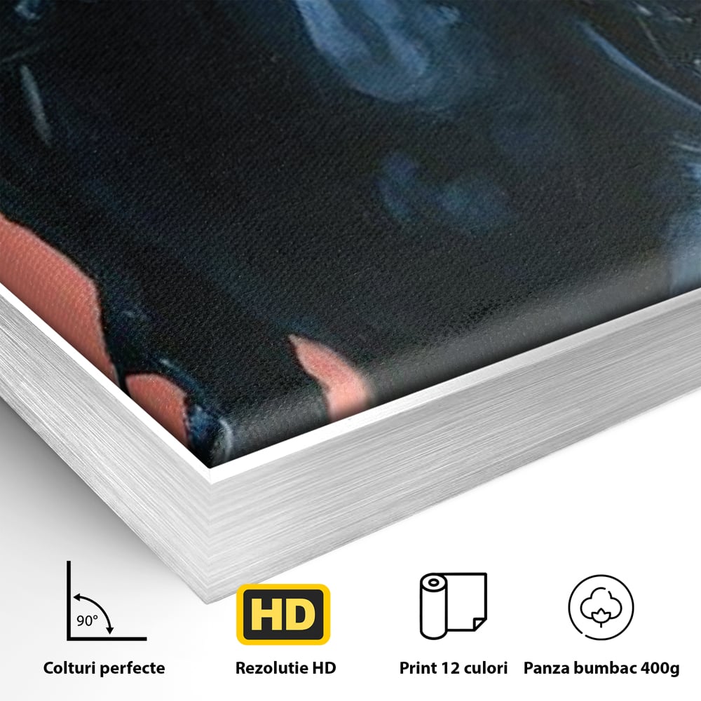 Detaliu al suprafetei: tablou canvas cu femeie calare, in rama de aluminiu argintiu