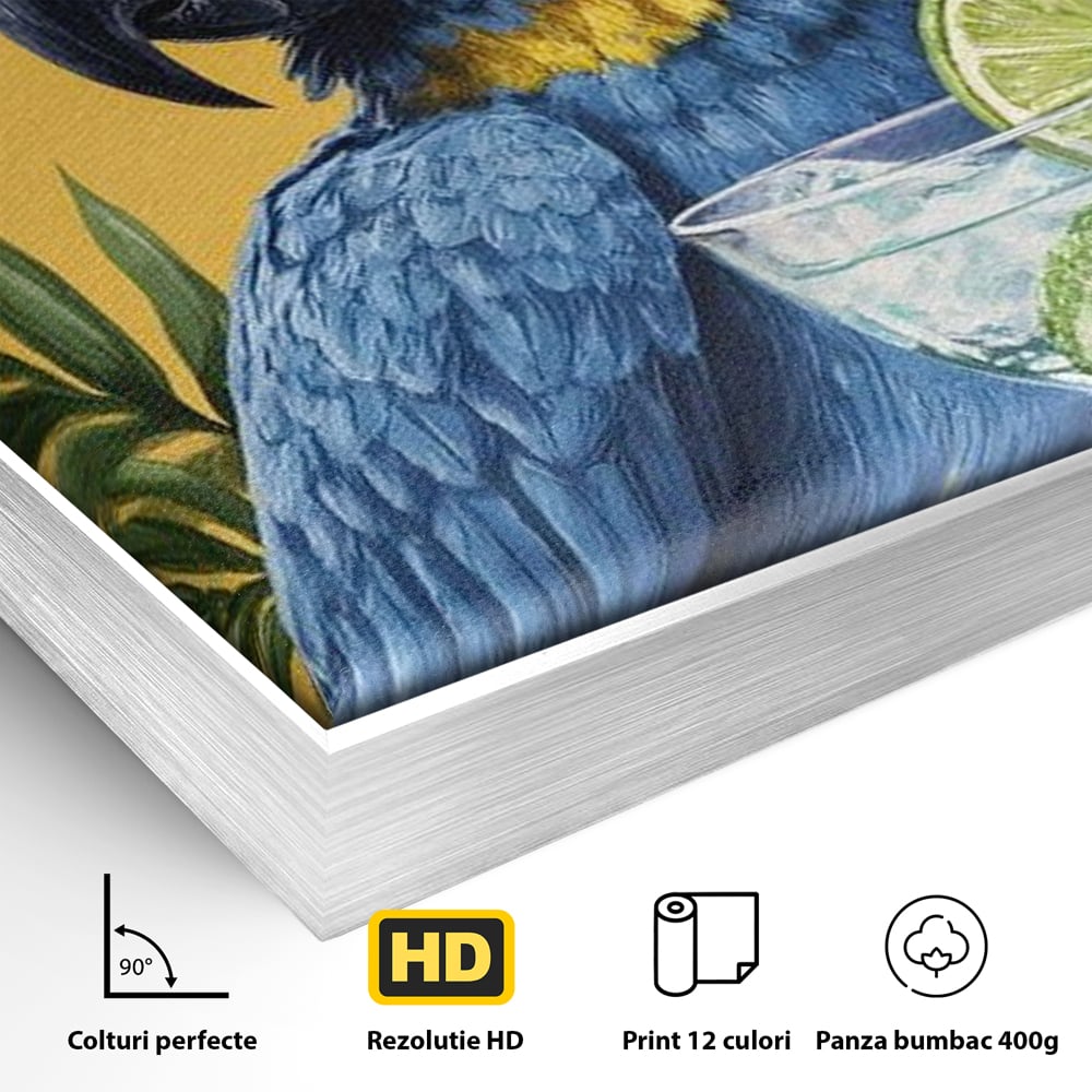 Detaliu al suprafetei: tablou canvas cu papagal si sombrero, in rama de aluminiu argintiu