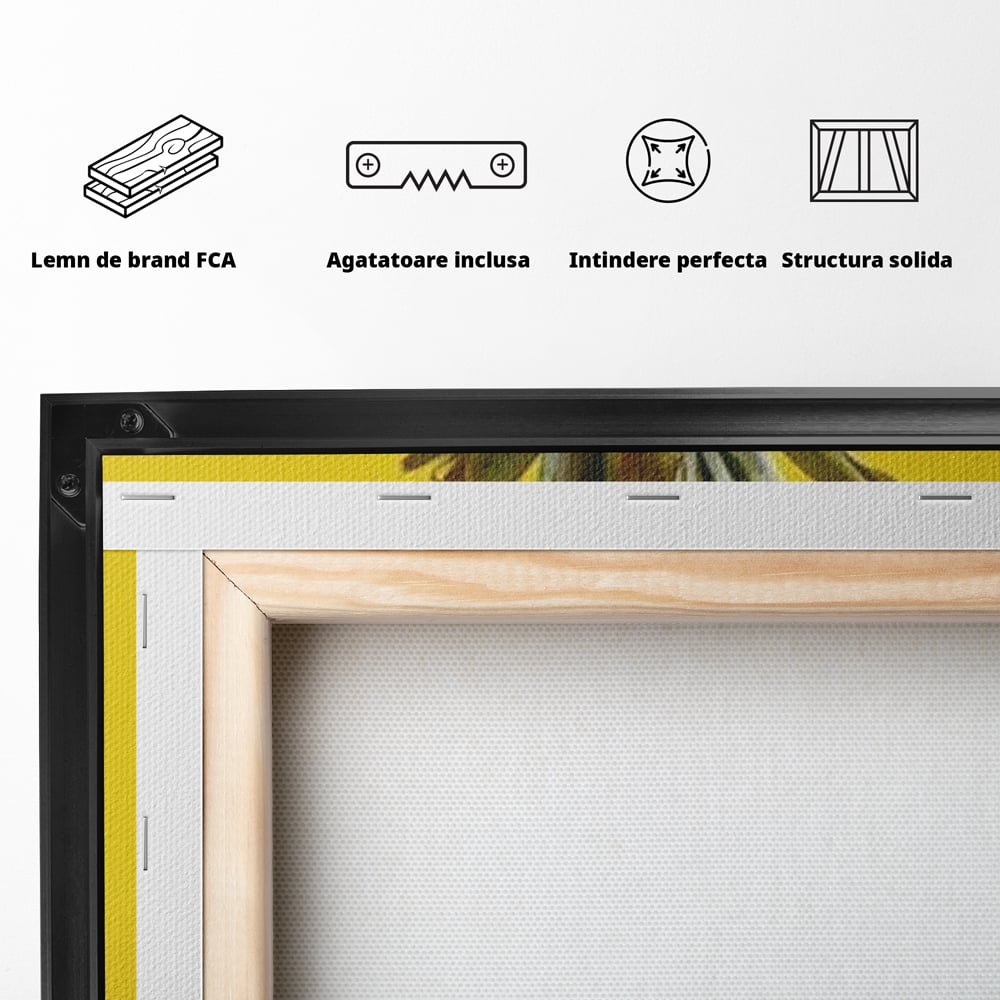 Spatele produsului, cu sasiu din lemn, capse metalice si agatatoare