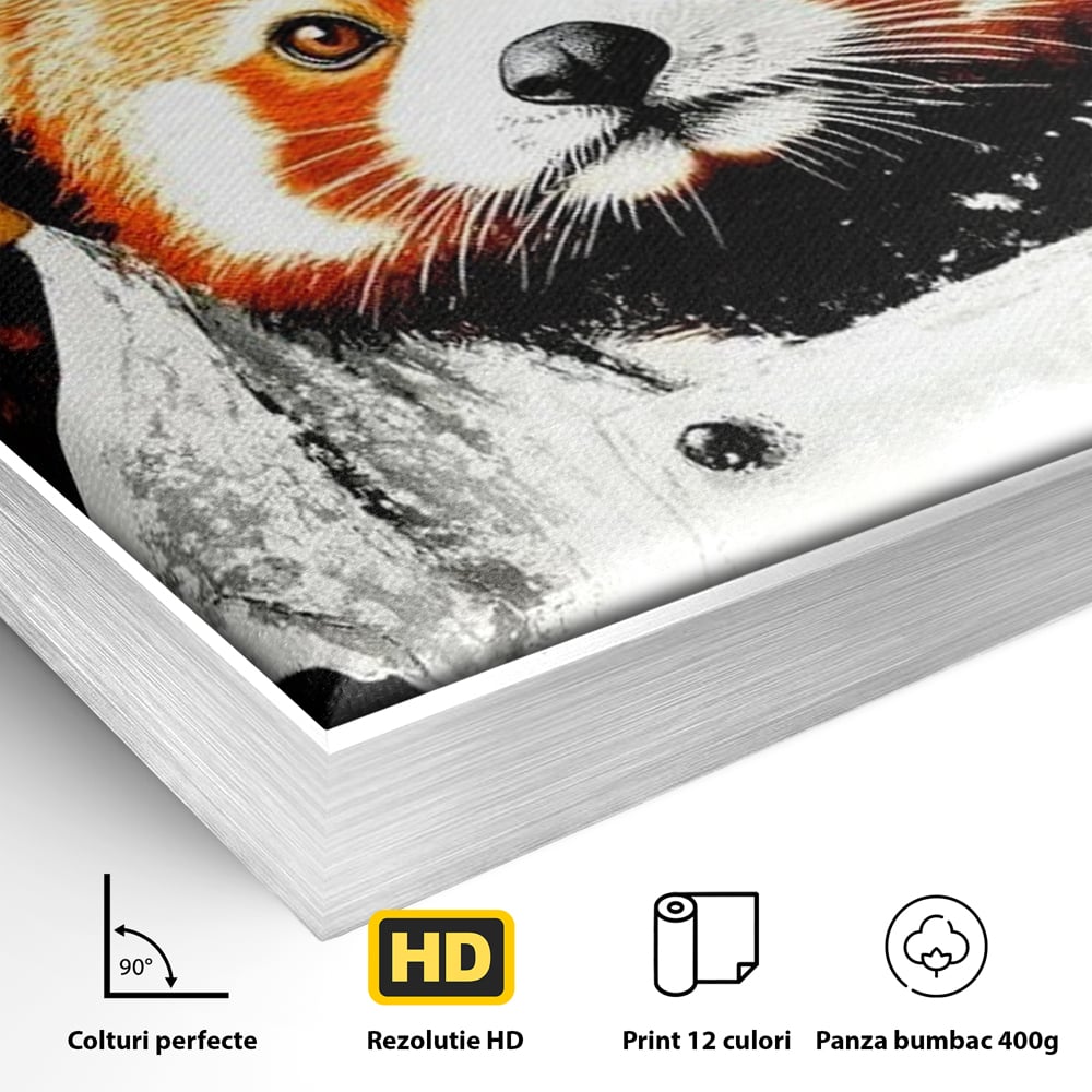 Detaliu al suprafetei: tablou canvas cu panda rosu bucatar, in rama de aluminiu argintiu