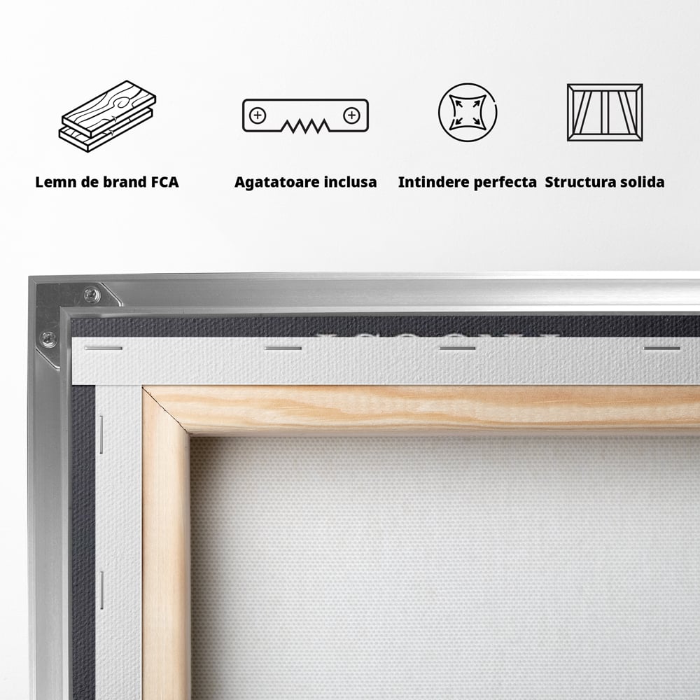 Spatele produsului, cu sasiu din lemn, capse metalice si agatatoare