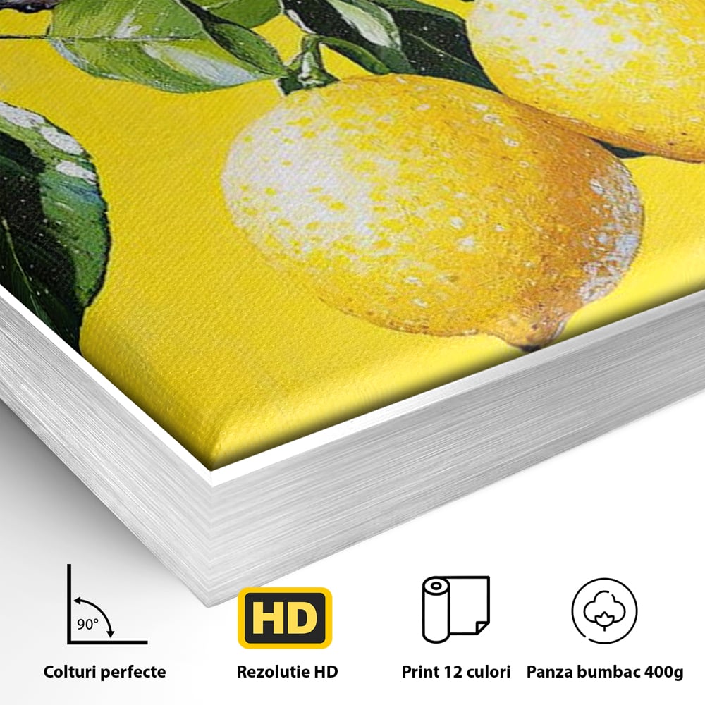 Detaliu al suprafetei: tablou canvas cu doua lamai si frunze, in rama de aluminiu argintiu