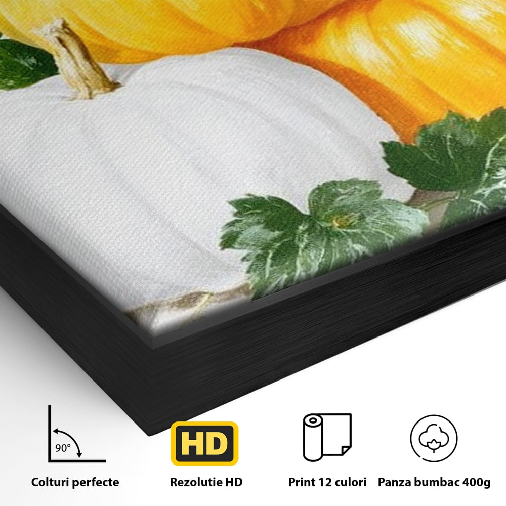 Detaliu al suprafetei: pictura decorativa cu trei dovleci, in rama de aluminiu negru